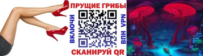 Галлюциногенные грибы Psilocybe как найти наркотики Игра